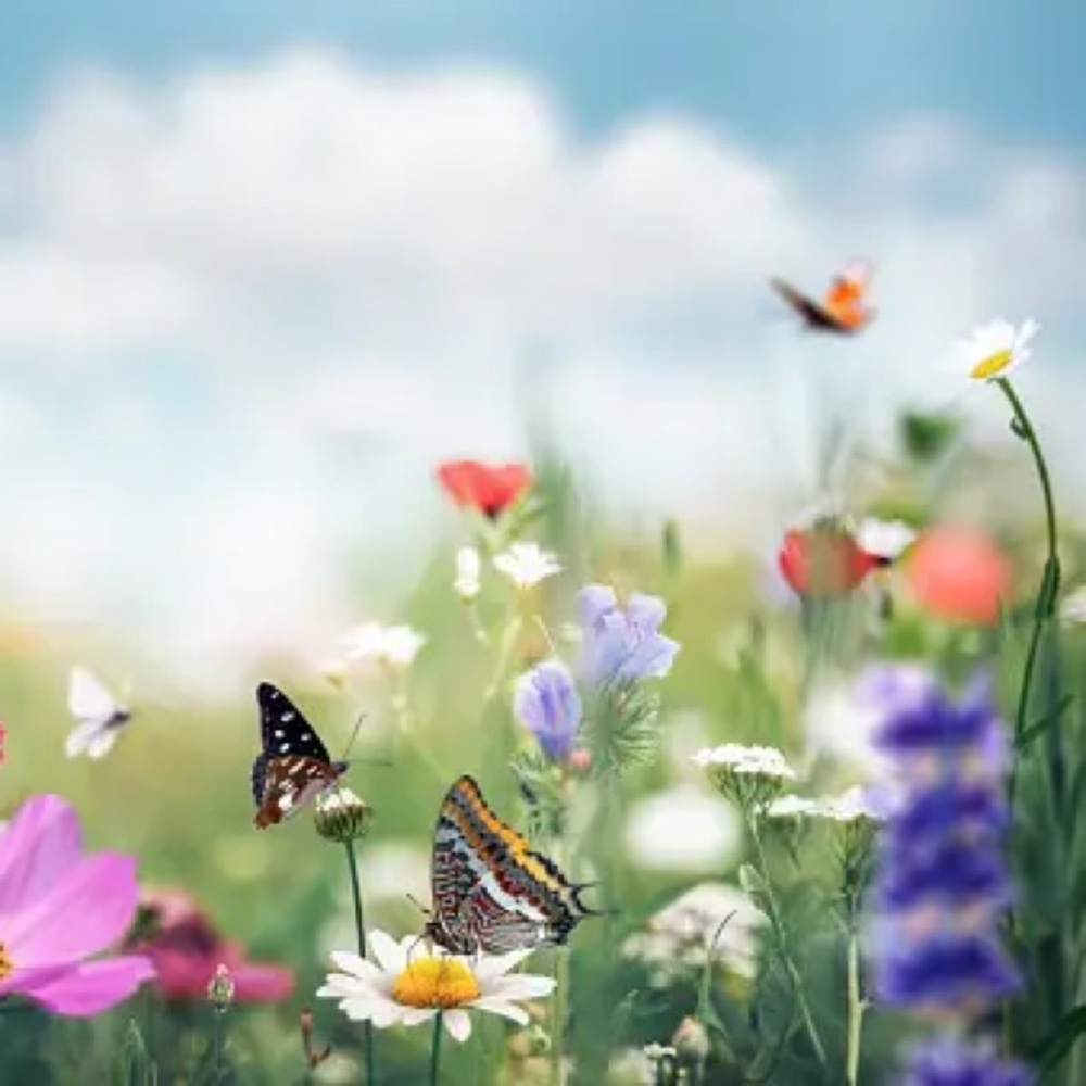 Unlisted Item for our Show